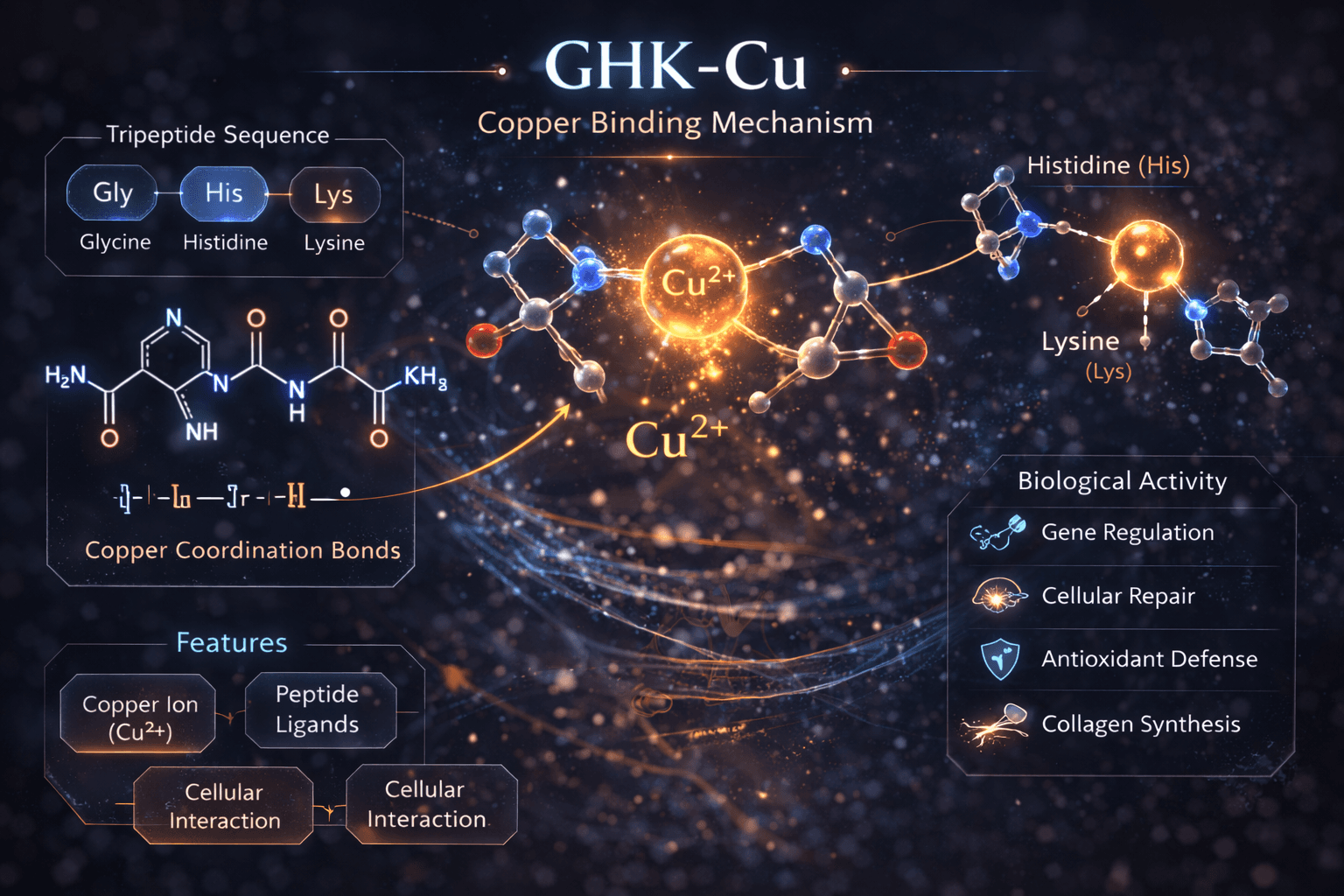 GHK-Cu copper binding diagram