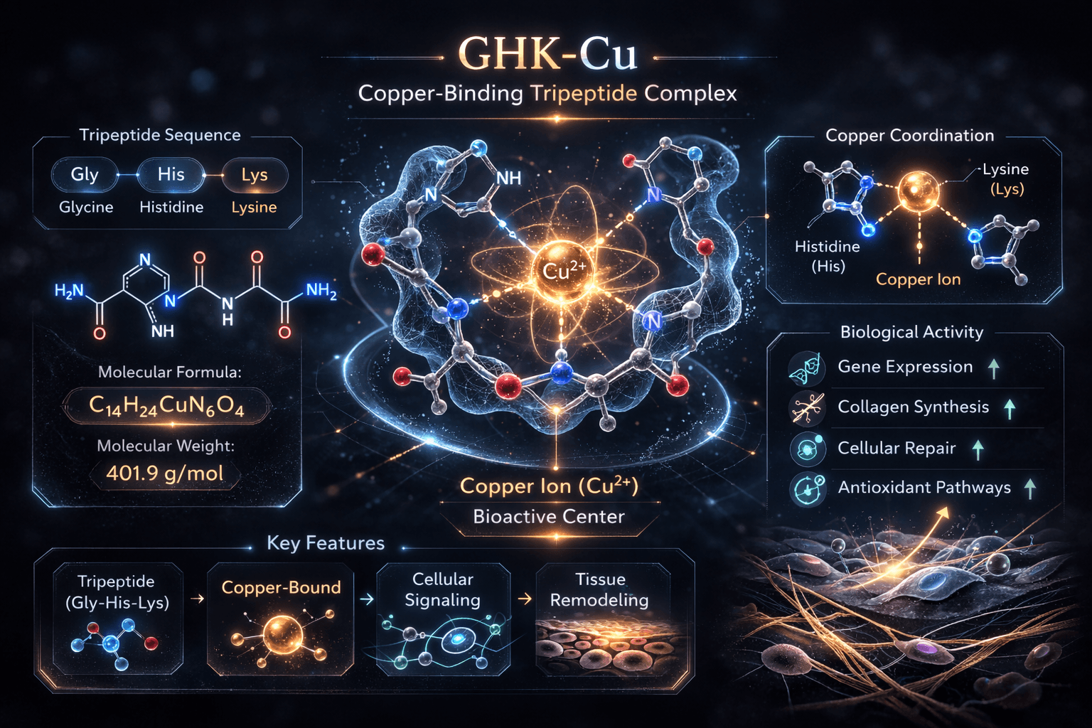 GHK-Cu peptide molecular structure